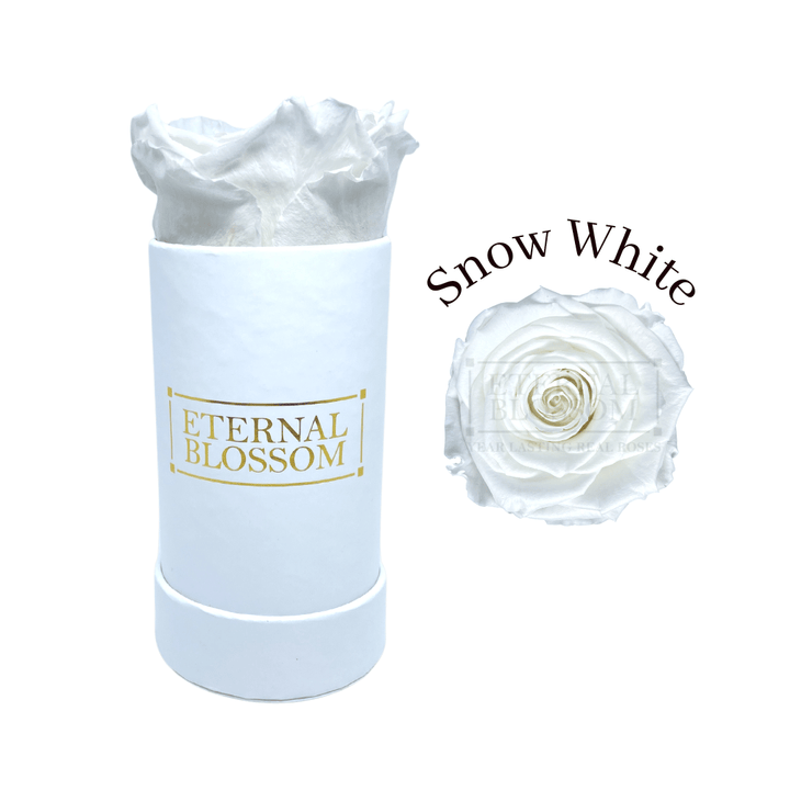 Individual Blossom Box - White Box – All Colours of Year Lasting Infinity Roses - Eternal Blossom