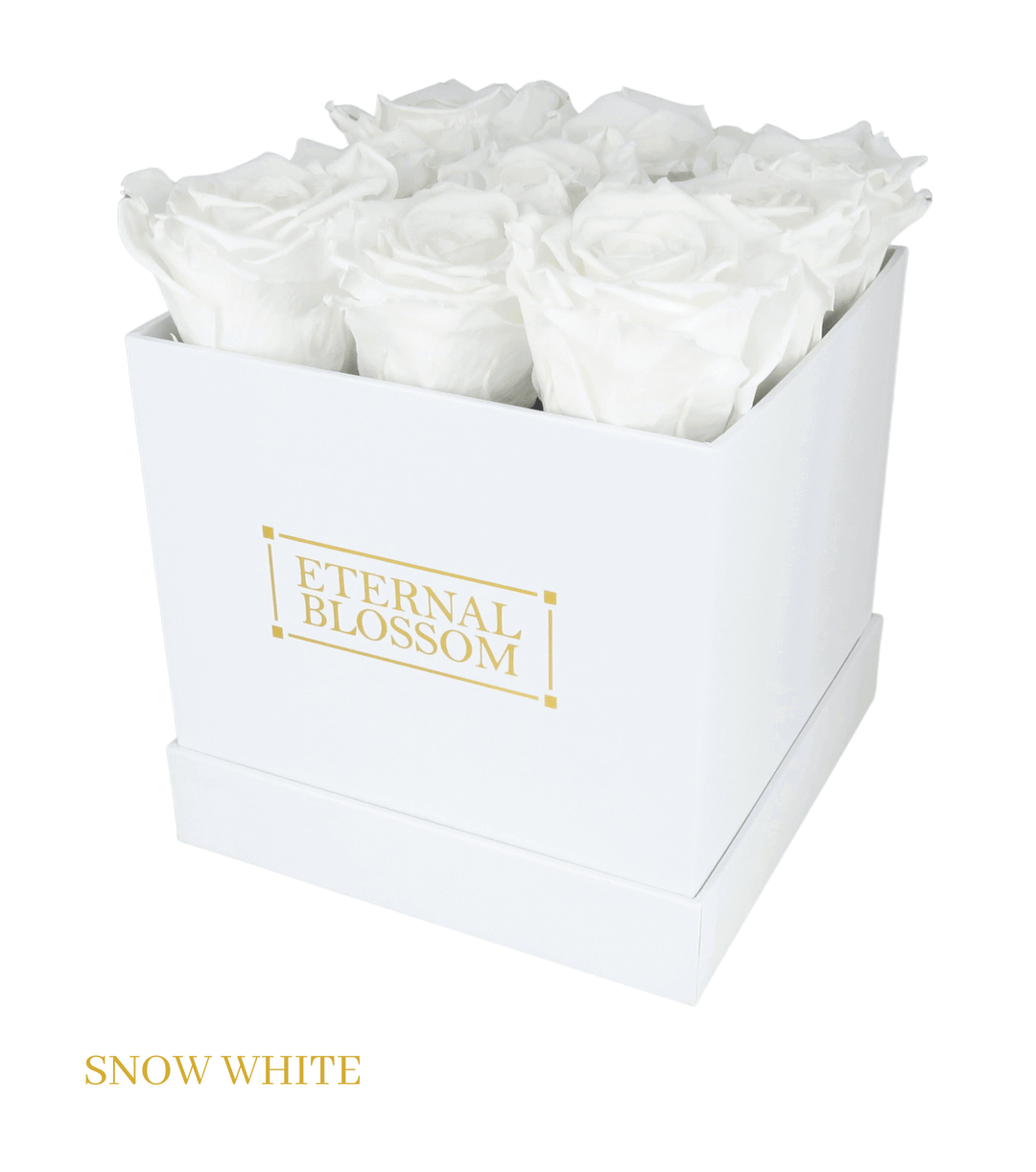 9 Piece Blossom Box - White Box - All Colours of Year Lasting Infinity Roses