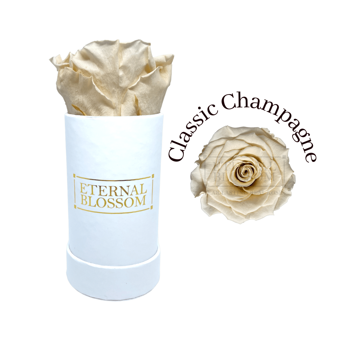 Individual Blossom Box - White Box – All Colours of Year Lasting Infinity Roses - Eternal Blossom