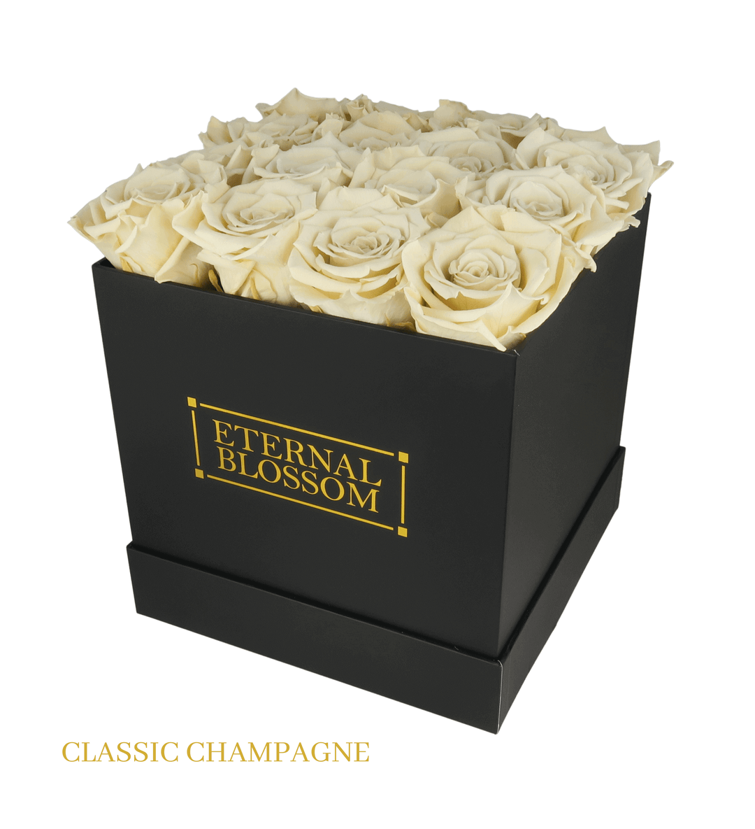 16 Piece Blossom Box - Black Box - All Colours of Year Lasting Infinity Roses - Eternal Blossom