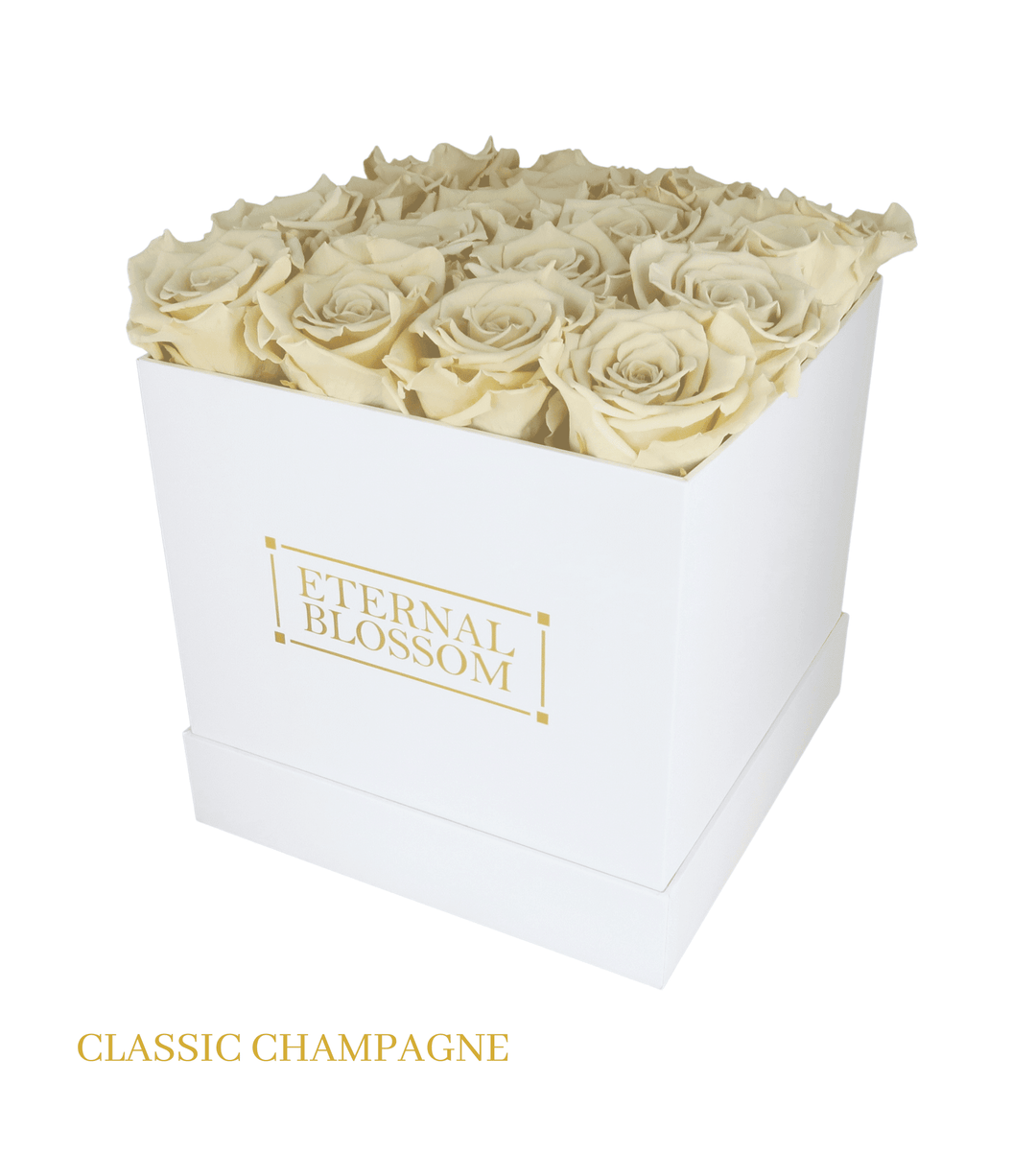 16 Piece Blossom Box - White Box - All Colours of Year Lasting Infinity Roses - Eternal Blossom