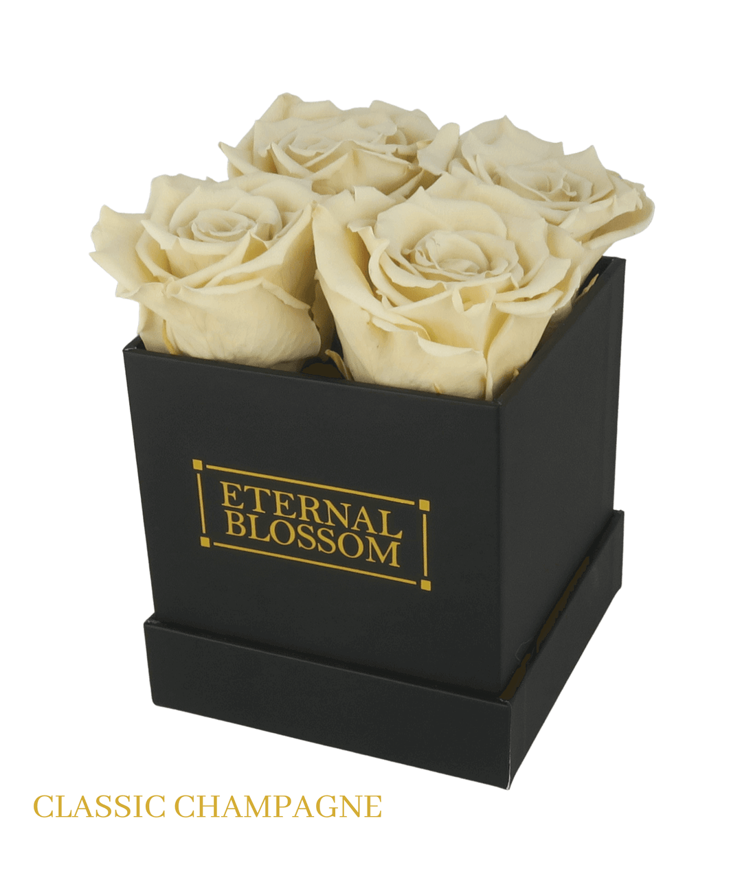 4 Piece Blossom Box - Black Box - All Colours of Year Lasting Infinity Roses - Eternal Blossom