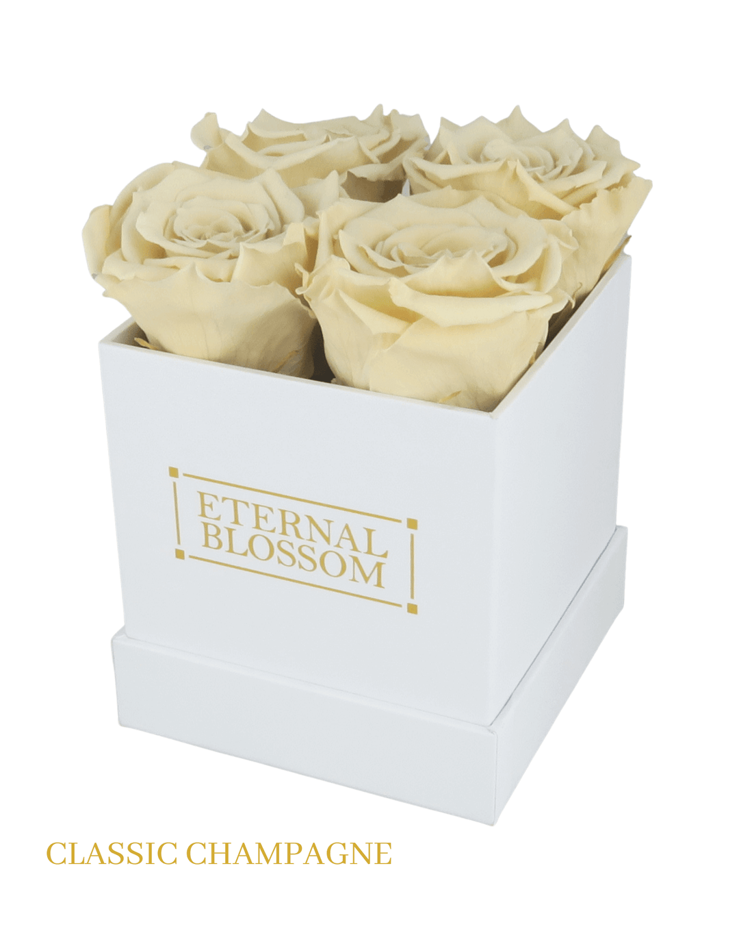 4 Piece Blossom Box - White Box - All Colours of Year Lasting Infinity Roses - Eternal Blossom