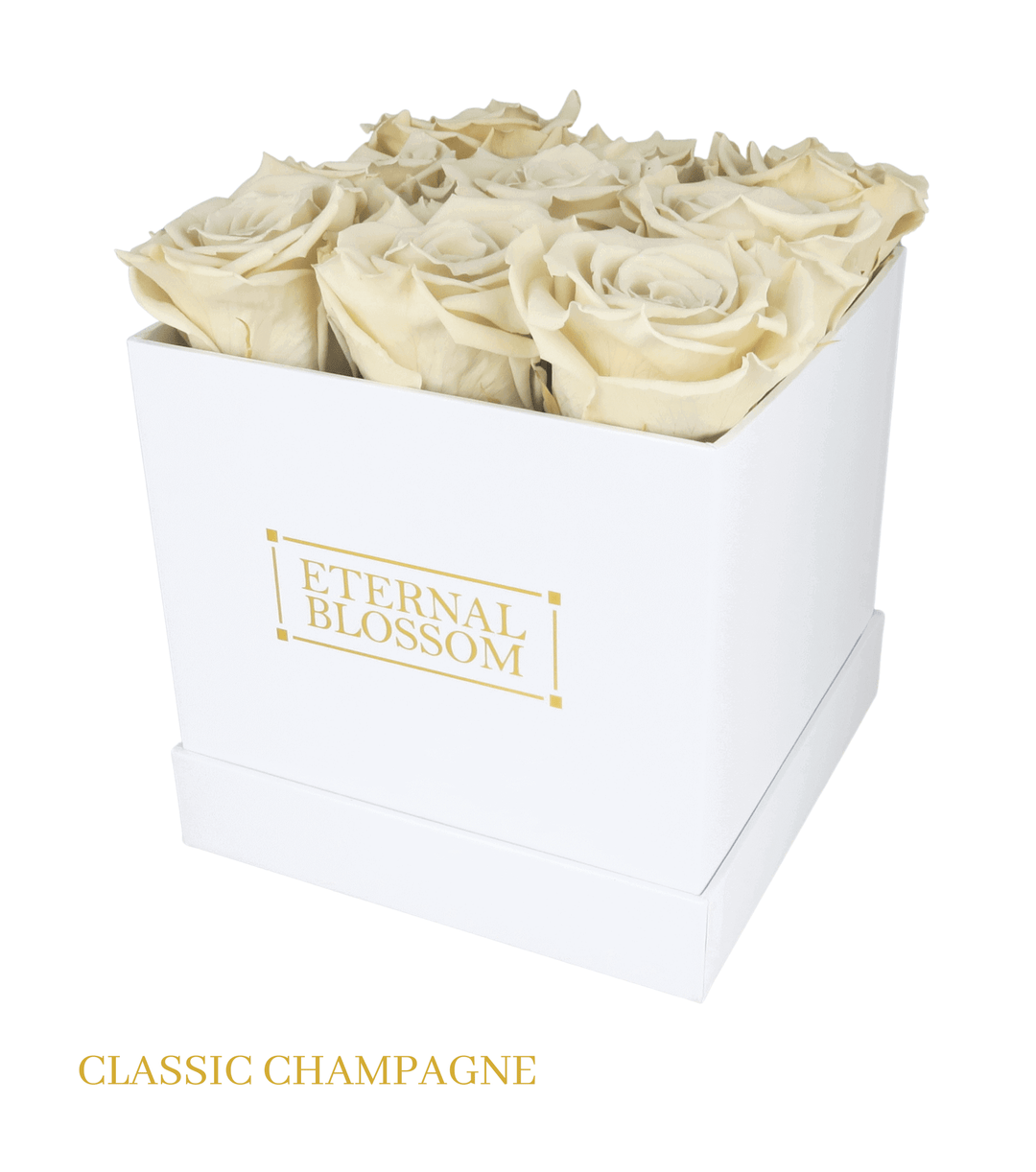 9 Piece Blossom Box - White Box - All Colours of Year Lasting Infinity Roses