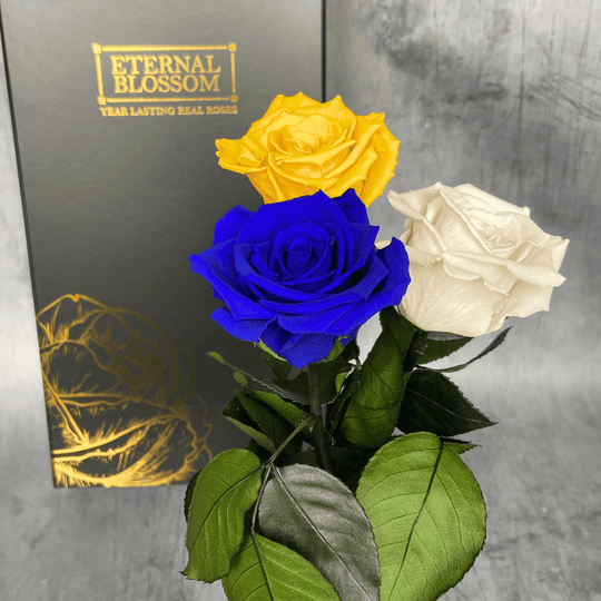 Eternal Roses Year Lasting Preserved Infinity Roses Eternal Blossom