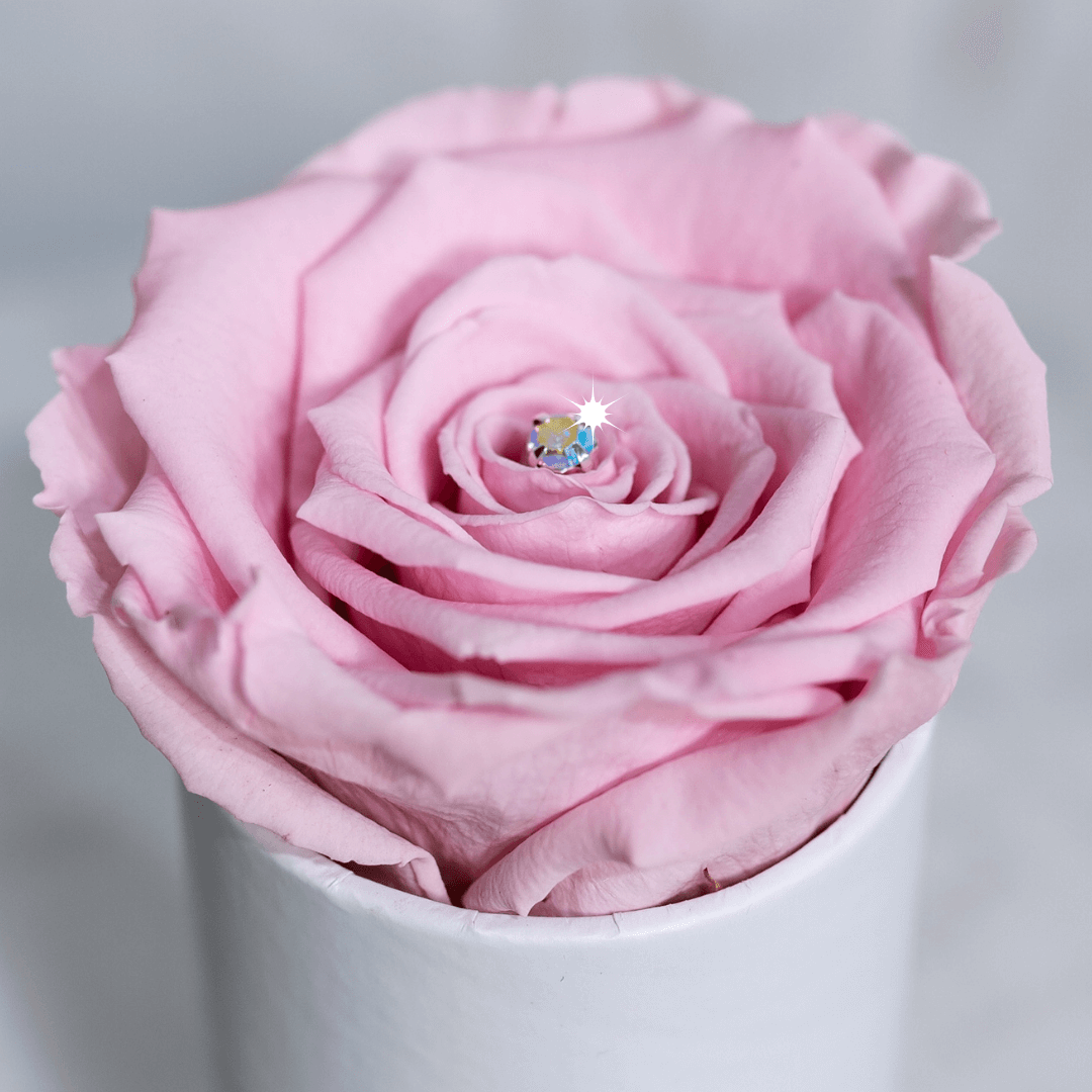 Diamante For Individual Rose