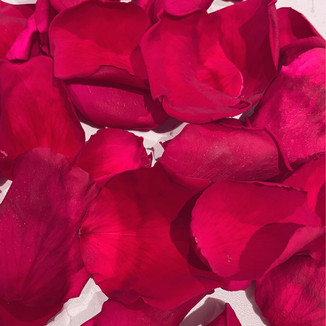 Eternal Blossom Rose Petals - Infinity Rose Petals