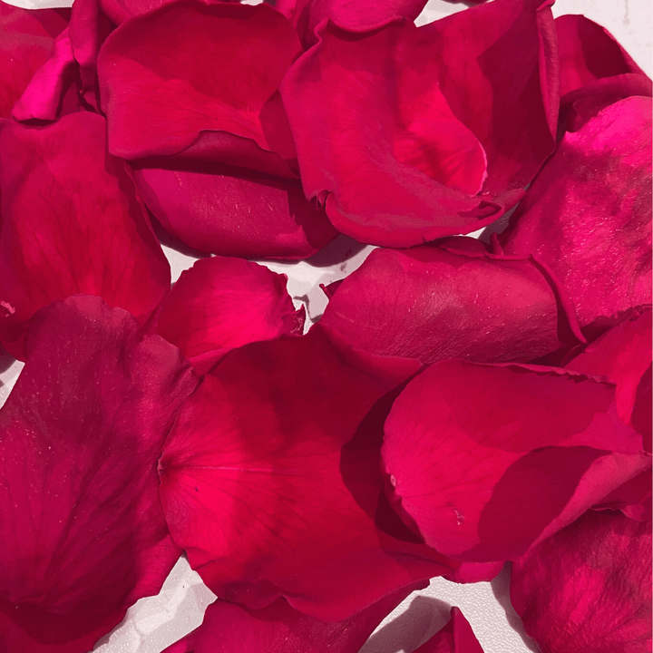 Eternal Blossom Rose Petals - Infinity Rose Petals