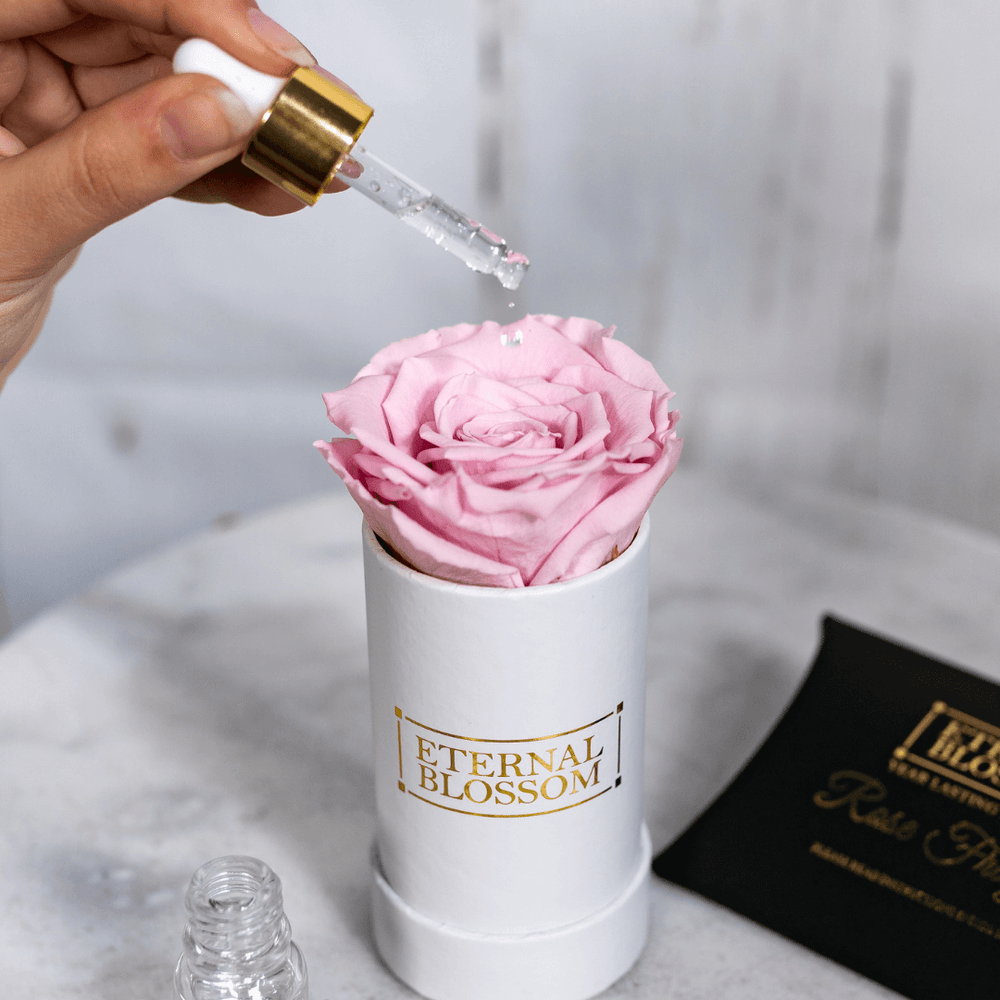 Eternal Blossom Rose Fragrance - Scent for your Infinity Roses