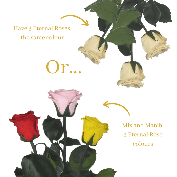Personalised Trio Long Stem Roses - Year Lasting Infinity Roses