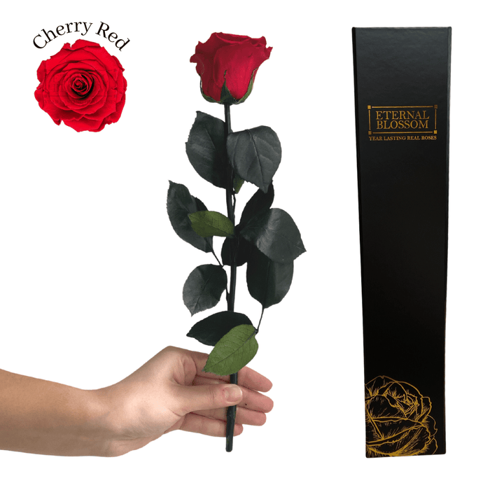 Individual Long Stem Rose - Year Lasting Infinity Roses