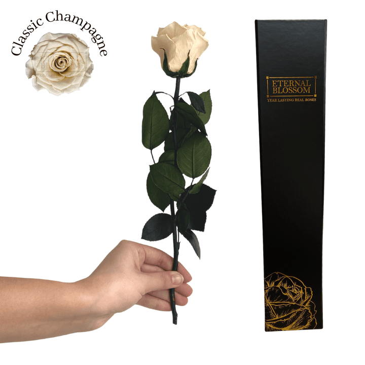 Individual Long Stem Rose - Year Lasting Infinity Roses