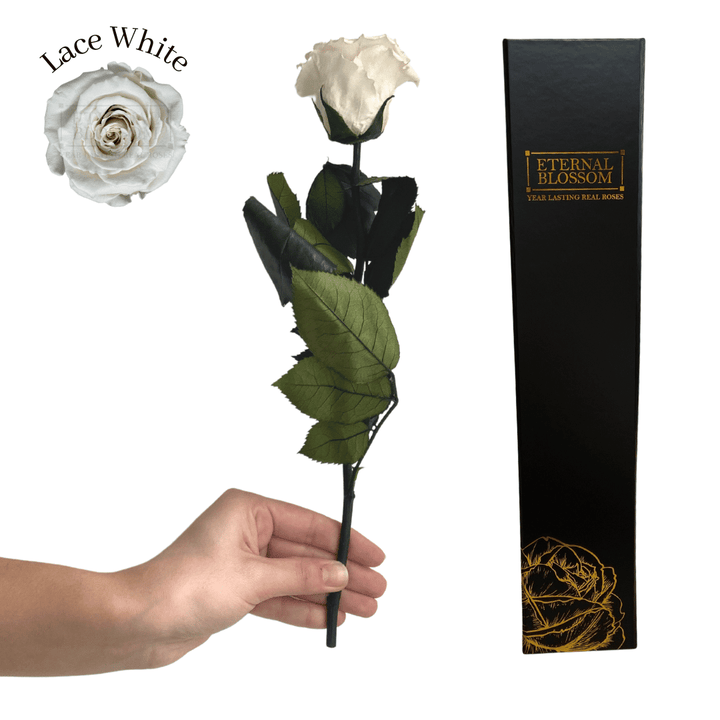 Individual Long Stem Rose - Year Lasting Infinity Roses