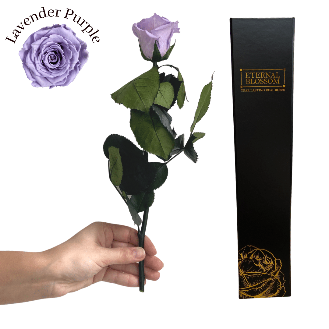 Individual Long Stem Rose - Year Lasting Infinity Roses