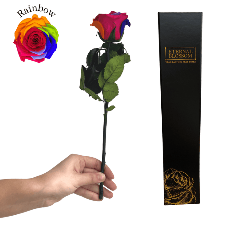 Individual Long Stem Rose - Year Lasting Infinity Roses