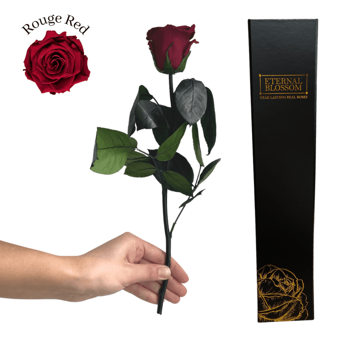 Individual Long Stem Rose - Year Lasting Infinity Roses