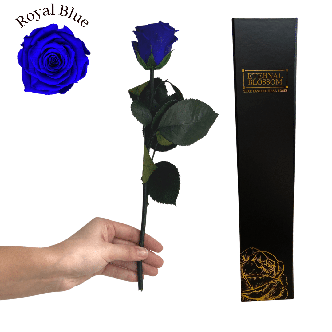 Individual Long Stem Rose - Year Lasting Infinity Roses