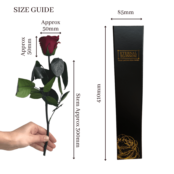 Individual Long Stem Rose - Year Lasting Infinity Roses