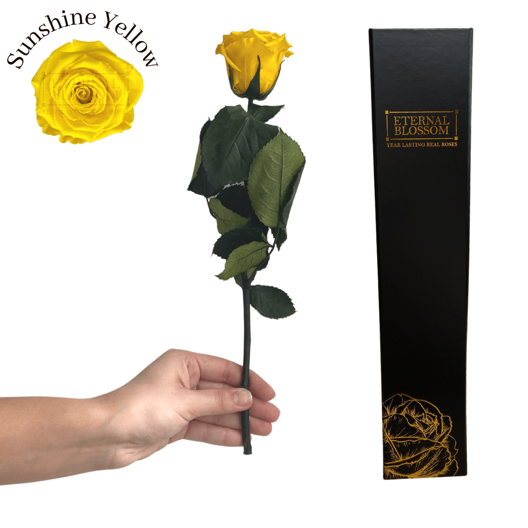 Individual Long Stem Rose - Year Lasting Infinity Roses
