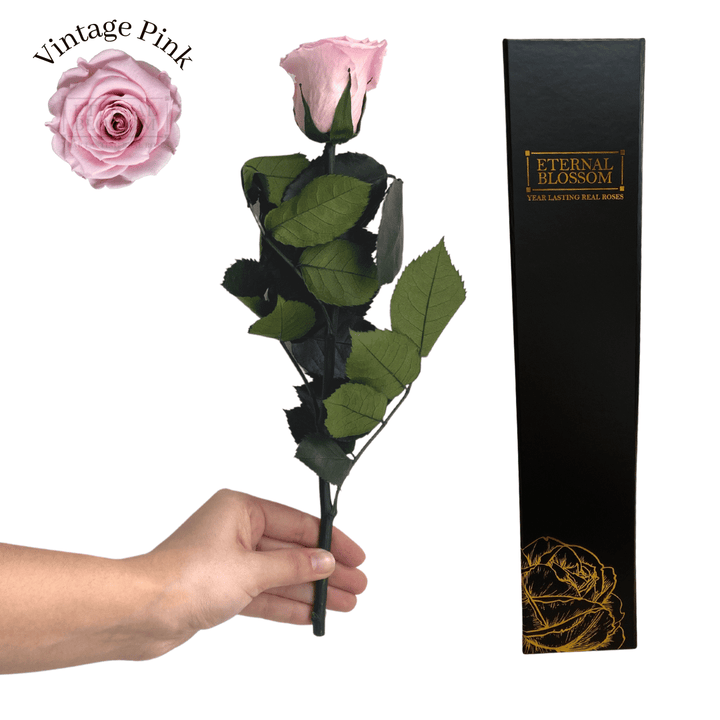 Individual Long Stem Rose - Year Lasting Infinity Roses