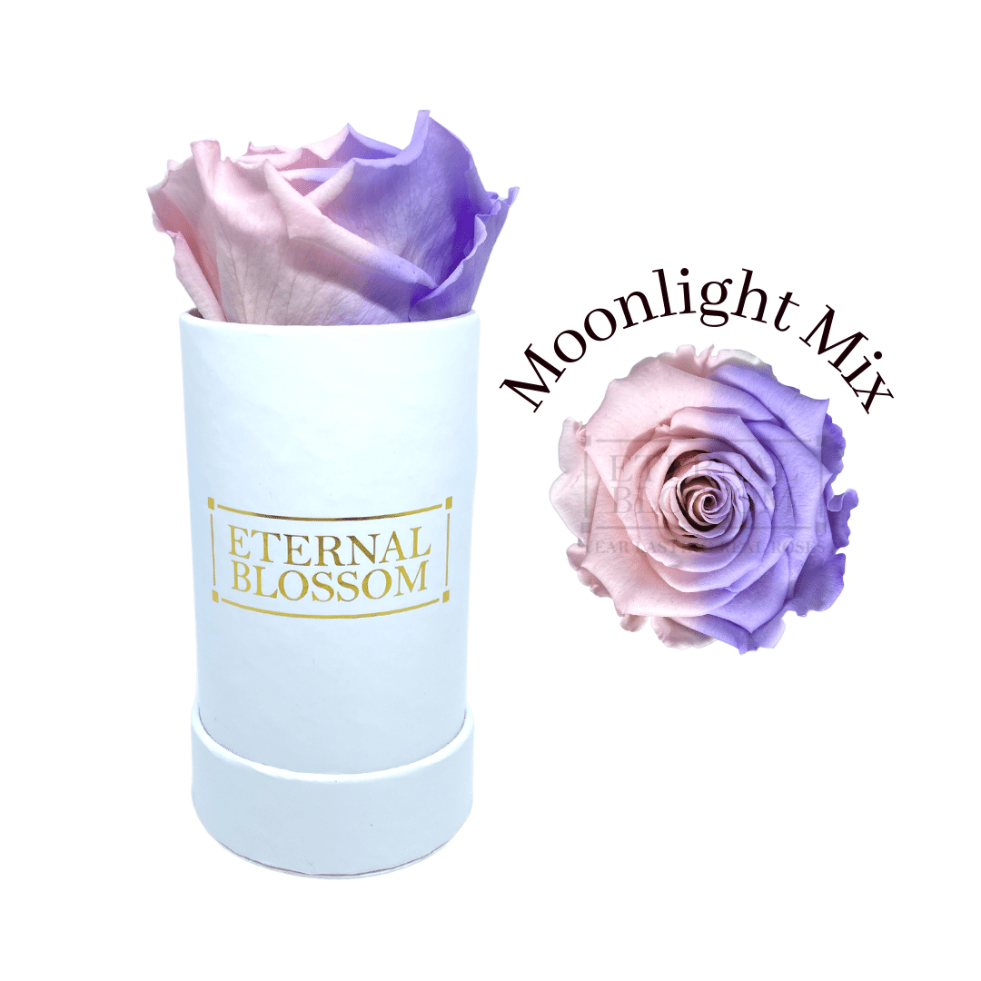 Individual Blossom Box - White Box – All Colours of Year Lasting Infinity Roses - Eternal Blossom