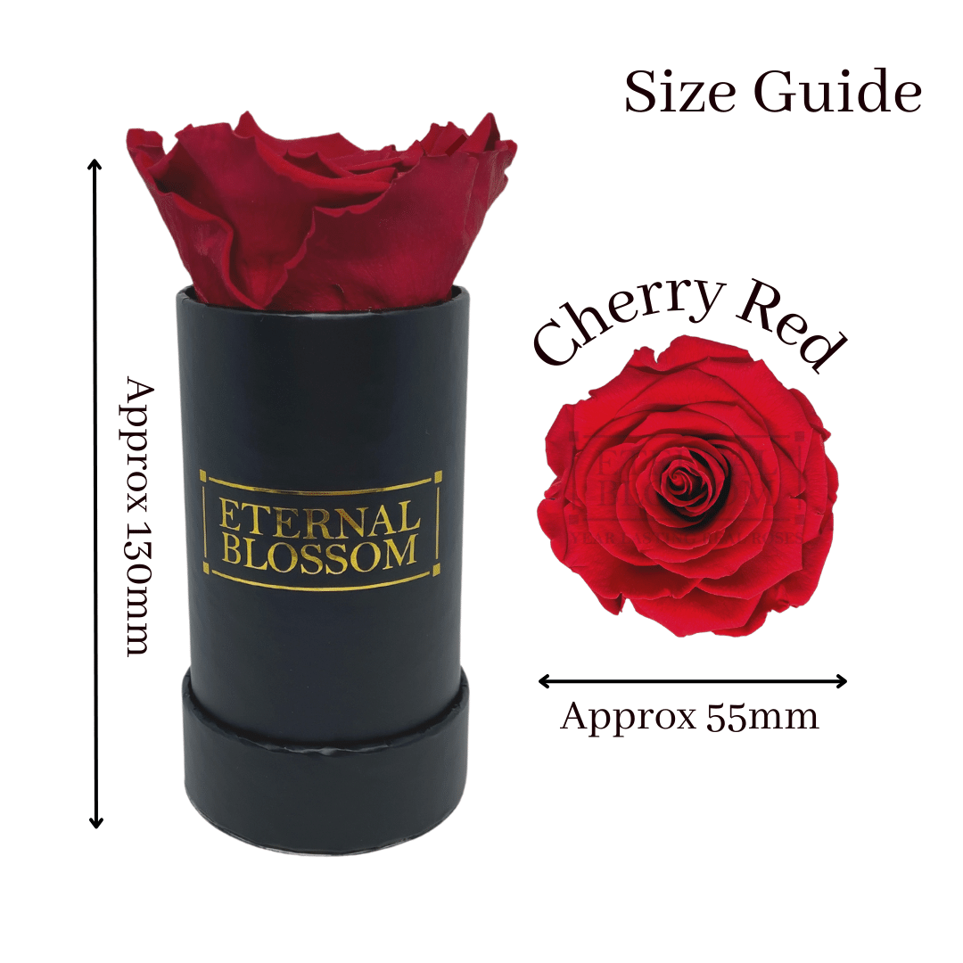 Individual Blossom Box - Black Box – All Colours of Year Lasting Infinity Roses - Eternal Blossom