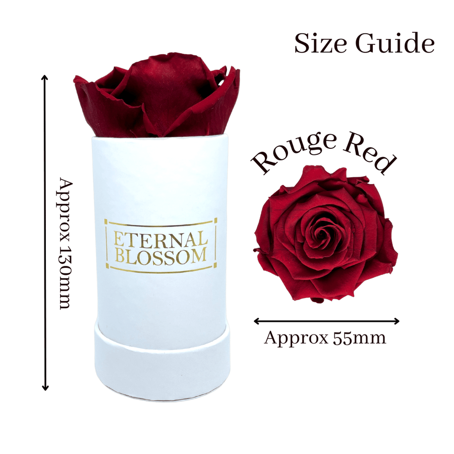 Eternal Blossom Individual Rose Box Infinity Roses Year Lasting