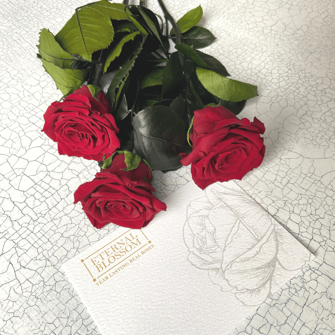 Discounts & Special Offers Eternal Blossom